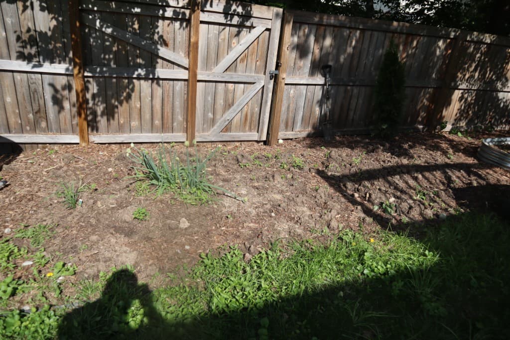 Sunny fenced garden bed with long shadows across tilled soil